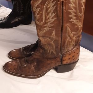 Rios of Mercedes Full Quill Ostrich